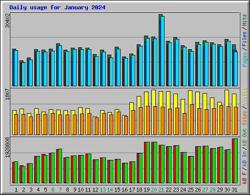 Daily usage for January 2024