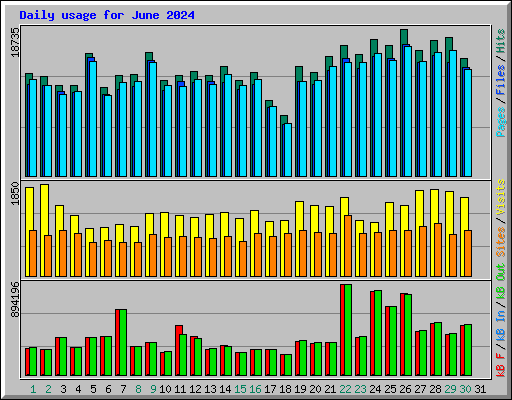Daily usage for June 2024