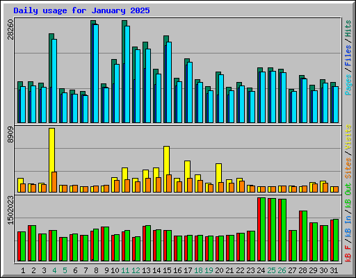 Daily usage for January 2025