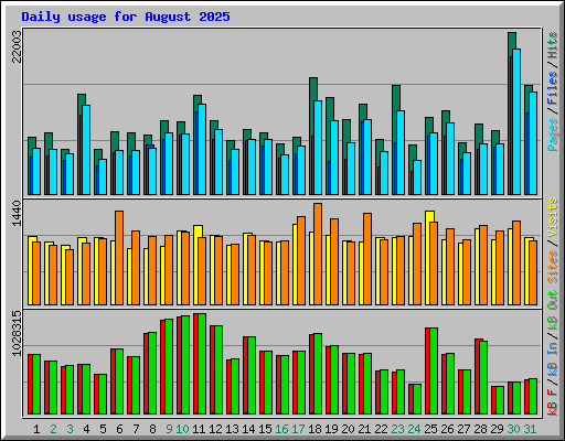 Daily usage for August 2025