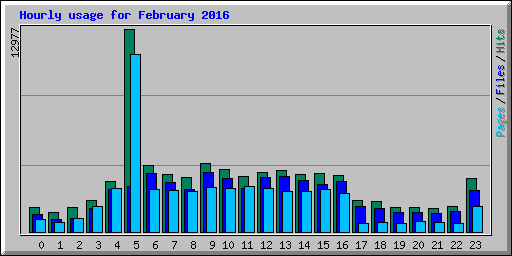 Hourly usage for February 2016