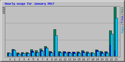 Hourly usage for January 2017