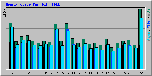 Hourly usage for July 2021