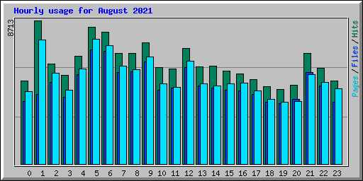 Hourly usage for August 2021