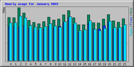Hourly usage for January 2022