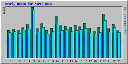 Hourly usage for March 2022