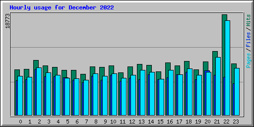 Hourly usage for December 2022