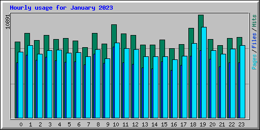 Hourly usage for January 2023