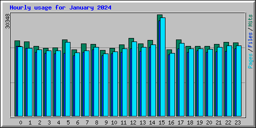 Hourly usage for January 2024