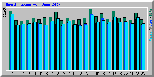 Hourly usage for June 2024