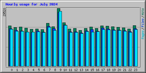Hourly usage for July 2024