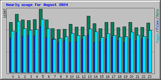 Hourly usage for August 2024