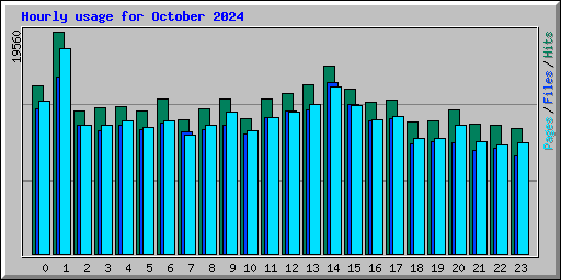 Hourly usage for October 2024