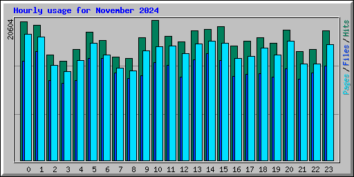 Hourly usage for November 2024