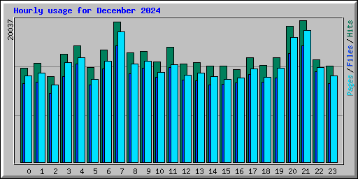 Hourly usage for December 2024