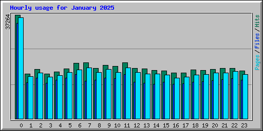 Hourly usage for January 2025