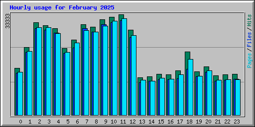 Hourly usage for February 2025