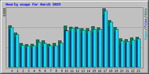 Hourly usage for March 2025