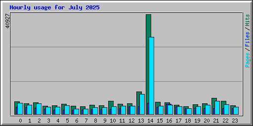 Hourly usage for July 2025