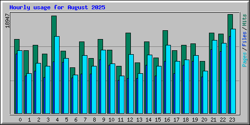 Hourly usage for August 2025