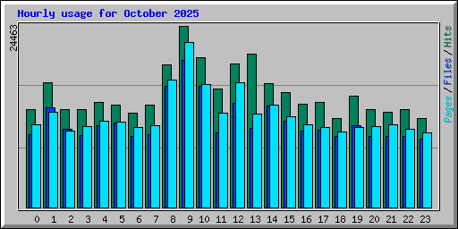 Hourly usage for October 2025