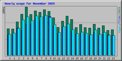 Hourly usage for November 2025
