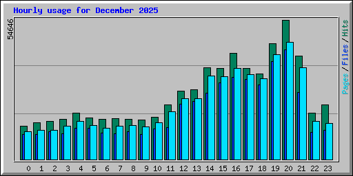 Hourly usage for December 2025