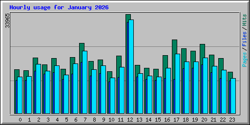 Hourly usage for January 2026