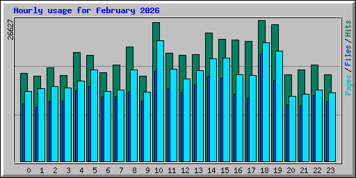 Hourly usage for February 2026