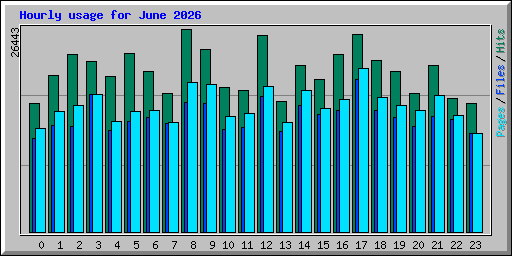 Hourly usage for June 2026