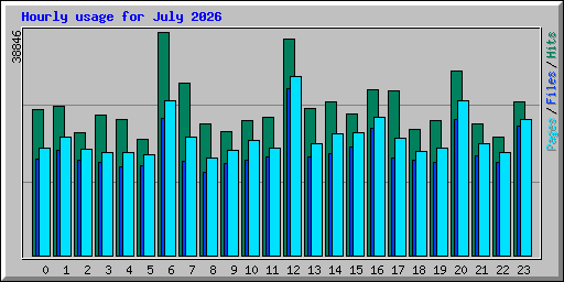 Hourly usage for July 2026