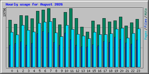 Hourly usage for August 2026